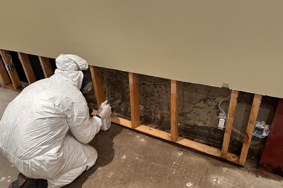 Water Damage and Mold Remediation